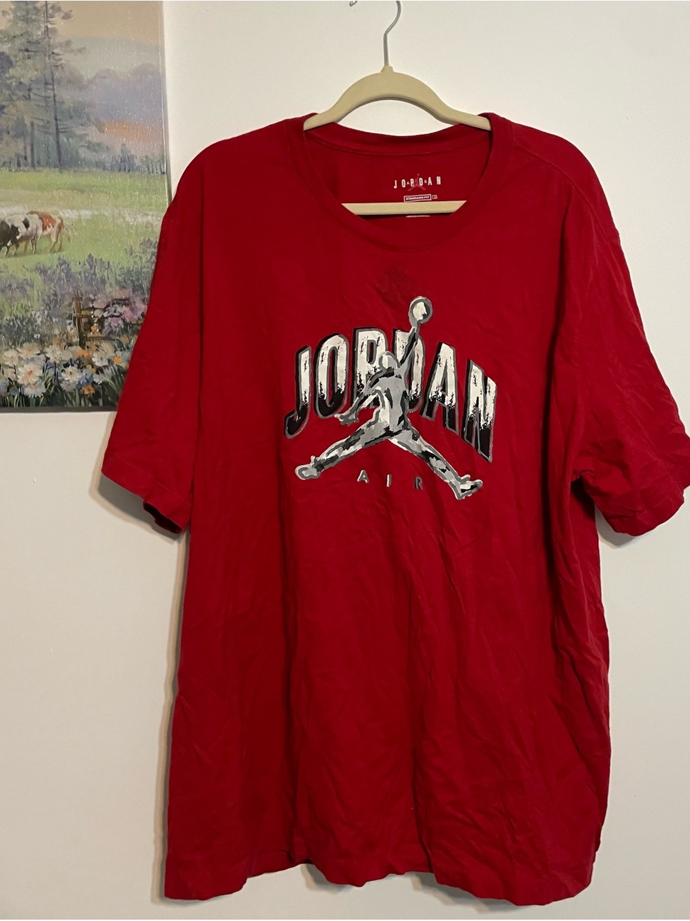 Jordan Red Short Sleeve Air Graphic Tee with Silver Logo